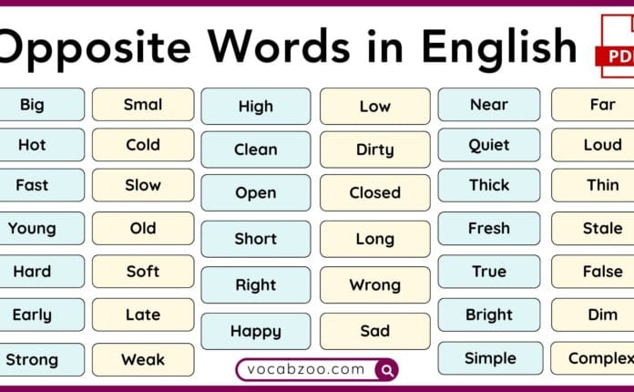 100 Opposite Words in English with Meanings and PDF