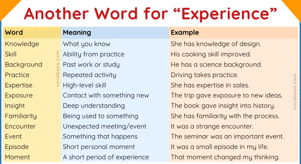 40 Another Word for Experience with Examples
