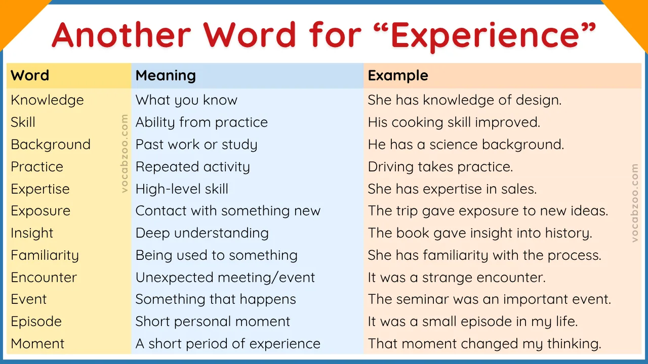 40 Another Word for Experience with Examples