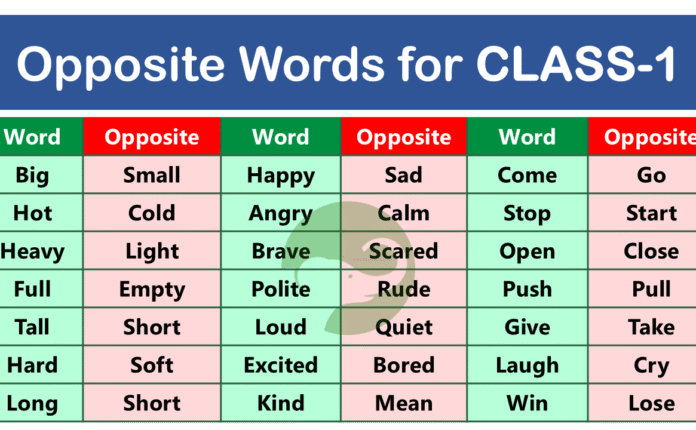 Opposite Words for Class 1