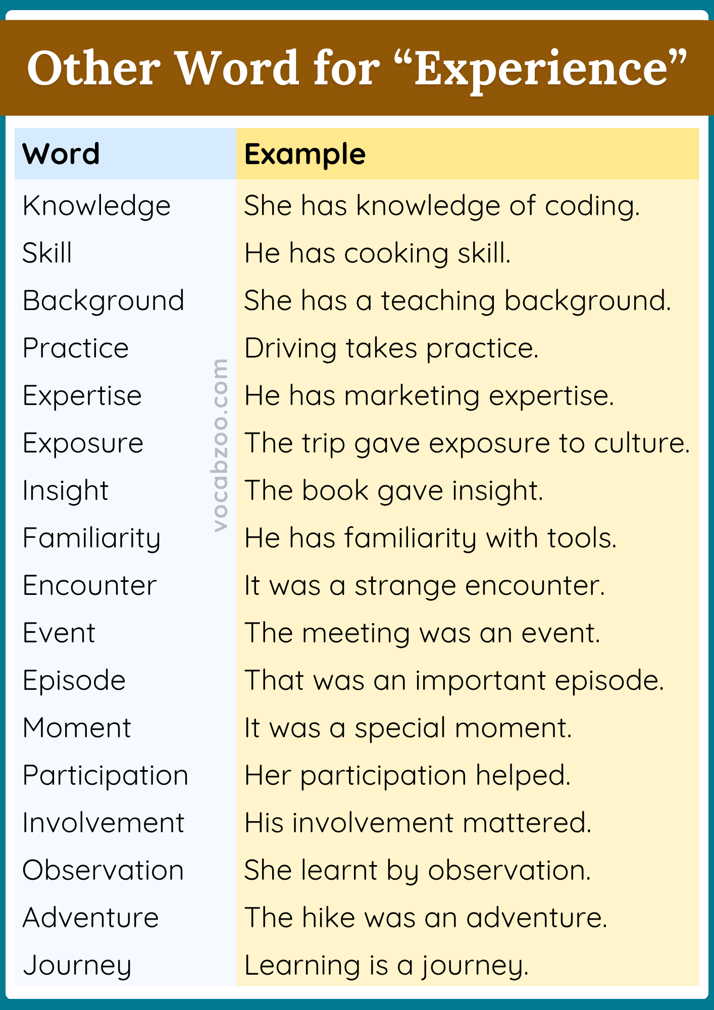 40 Another Word for Experience with Examples