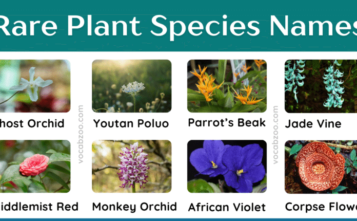35+ Rare Plant Species Names in English and Pictures