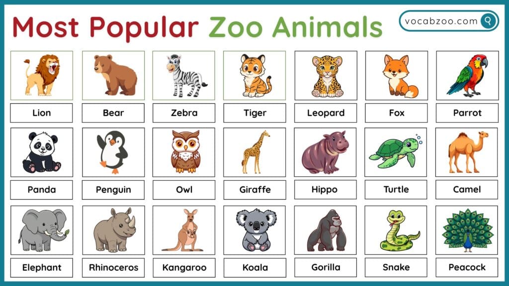 Zoo Animals Food and Diet Vocabulary in English - Vocabzoo