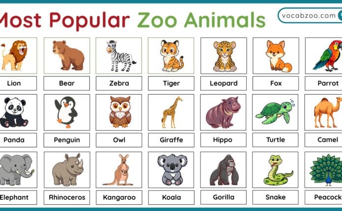 Most Popular Zoo Animals Around the World