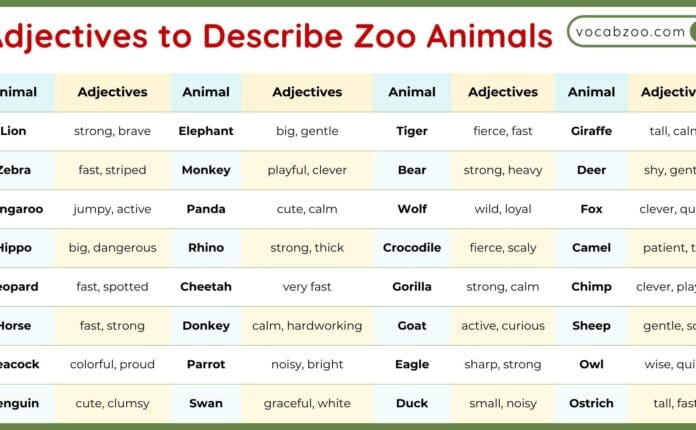 Adjectives to Describe Zoo Animals in English