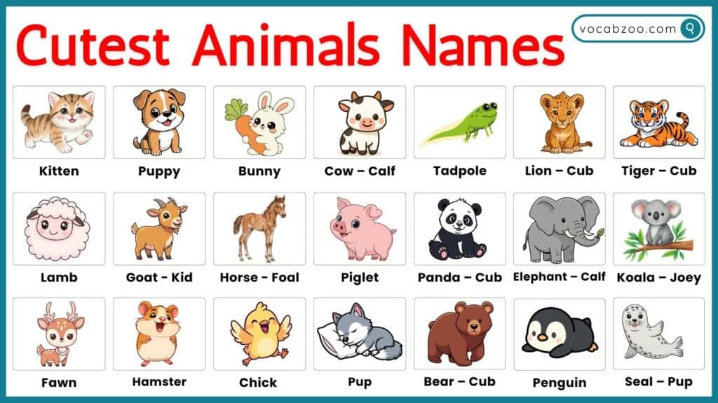 Top 30 Cutest Animals Names in English with Their Pictures