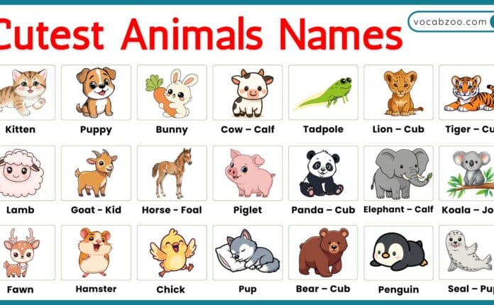 Top 30 Cutest Animals Names in English with Their Pictures