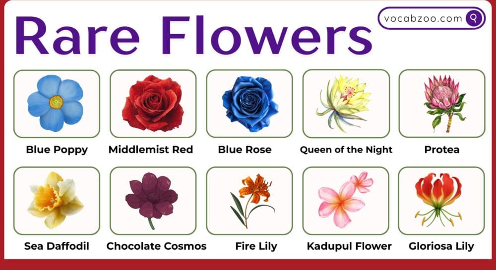 50 Rare Flowers Names and Pictures in English