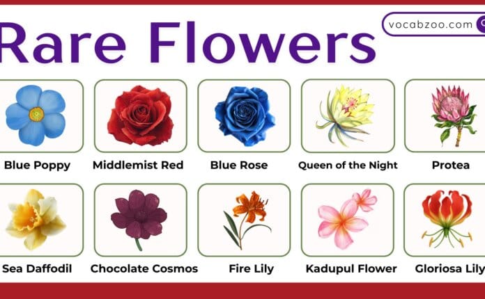 50 Rare Flowers Names and Pictures in English