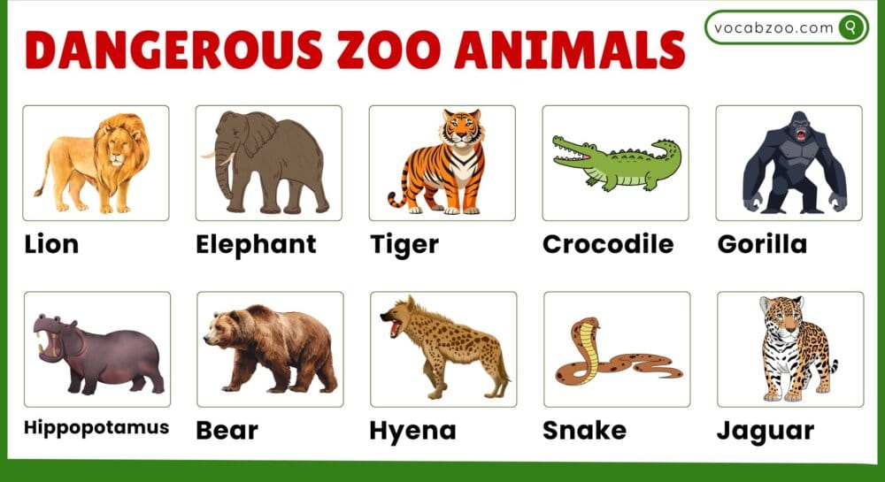 20+ Names of Dangerous Zoo Animals and Facts