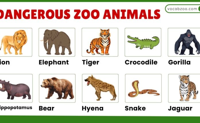 20+ Names of Dangerous Zoo Animals and Facts