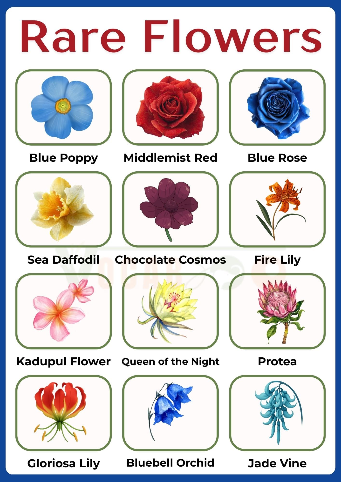 50 Rare Flowers Names and Pictures in English