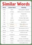100+ Similar Words in English with Meanings and Pictures