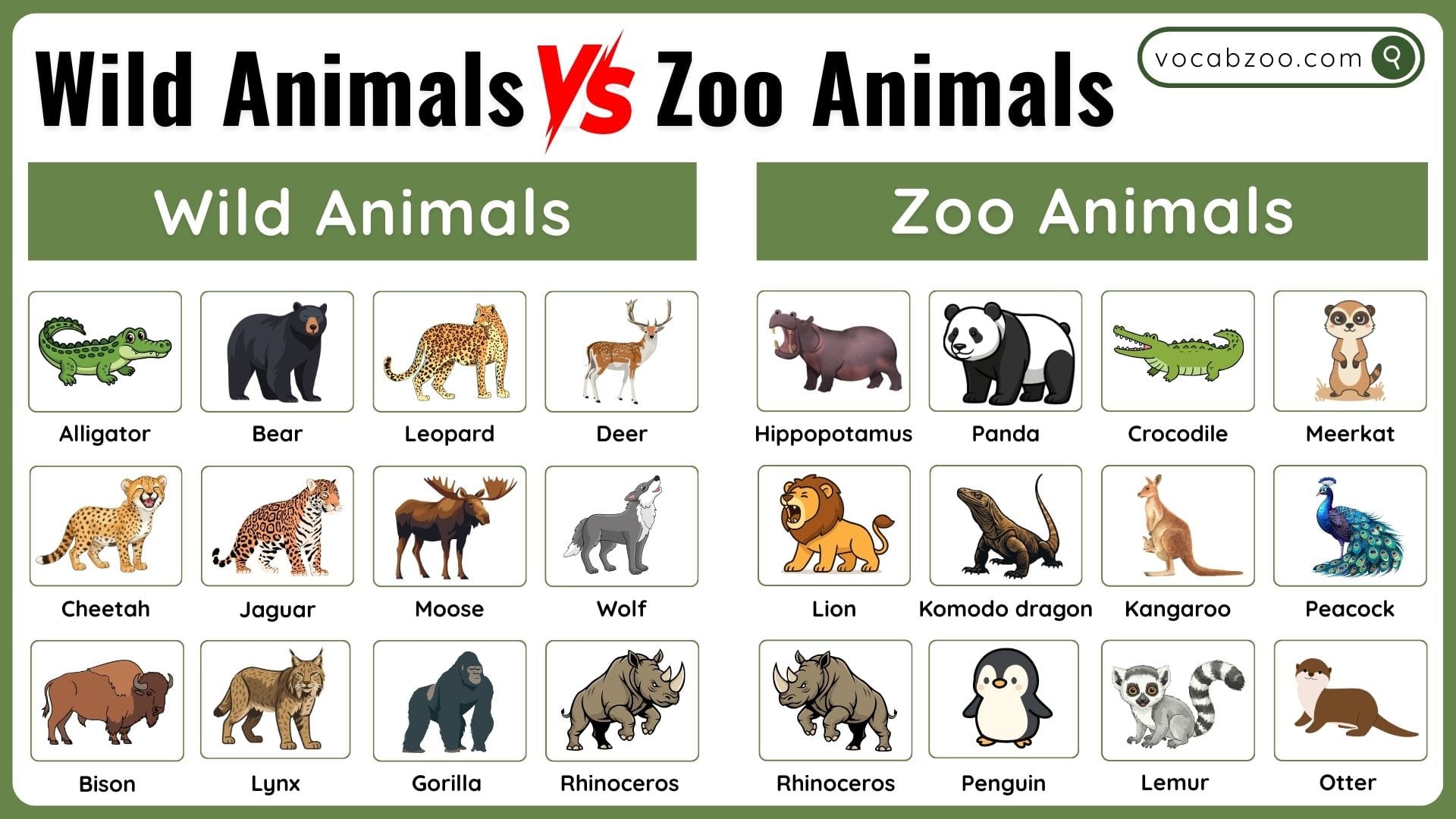 Wild Animals vs Zoo Animals What's the Difference