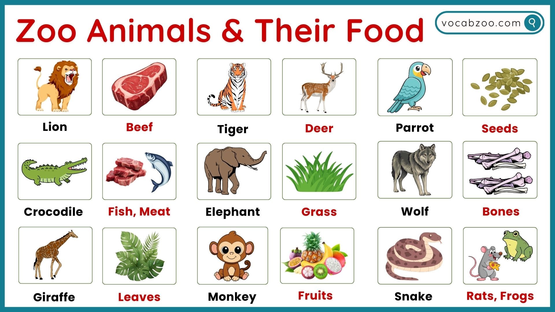 Zoo Animals Food and Diet Vocabulary in English
