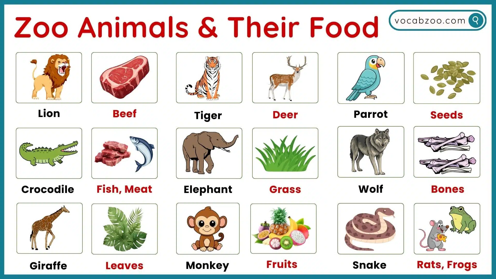 Zoo Animals Food and Diet Vocabulary in English