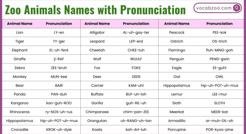 Zoo Animals Names with Pronunciation in English