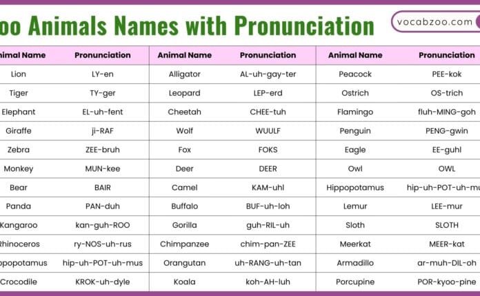 Zoo Animals Names with Pronunciation in English