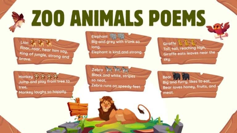 50+ Zoo Animals and Their Sounds in English with Pictures - Vocabzoo