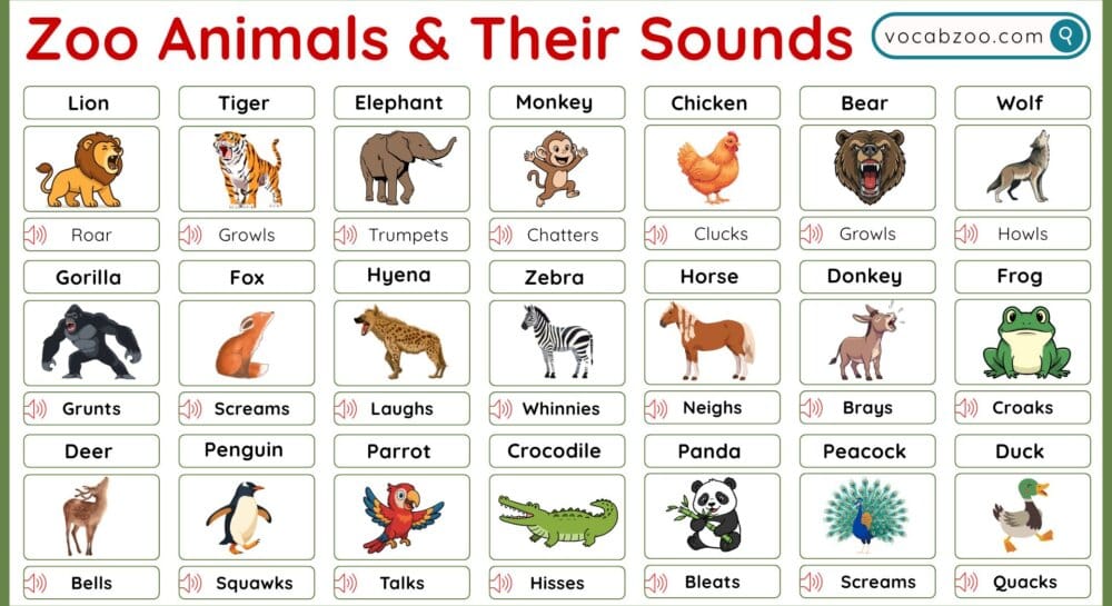 Zoo Animals and Their Sounds in English with Pictures