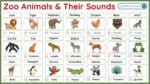 50+ Zoo Animals and Their Sounds in English with Pictures - Vocabzoo