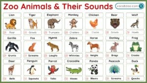 50+ Zoo Animals and Their Sounds in English with Pictures - Vocabzoo