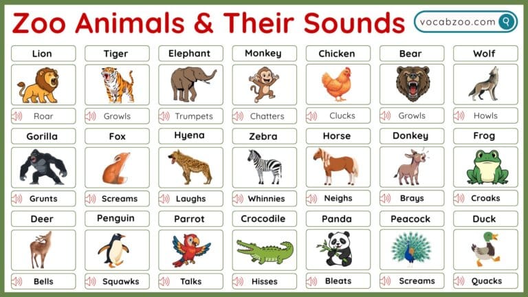 50+ Zoo Animals and Their Sounds in English with Pictures - Vocabzoo