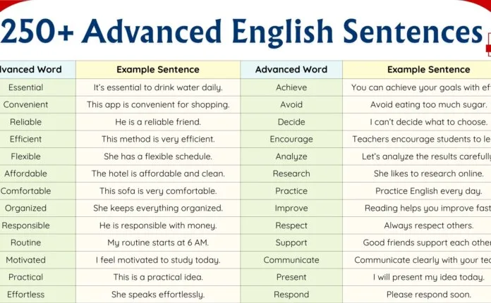 250+ Advanced English Sentences with PDF