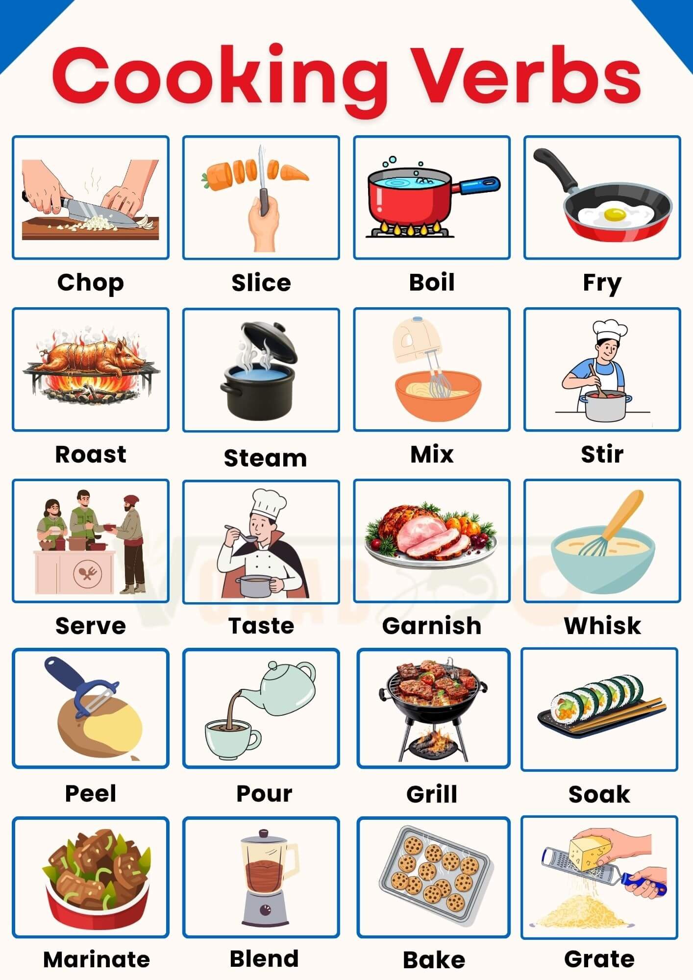Cooking Verbs in English with Pictures and Examples