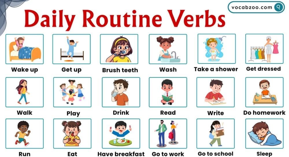 Daily Routine Verbs in English with Pictures