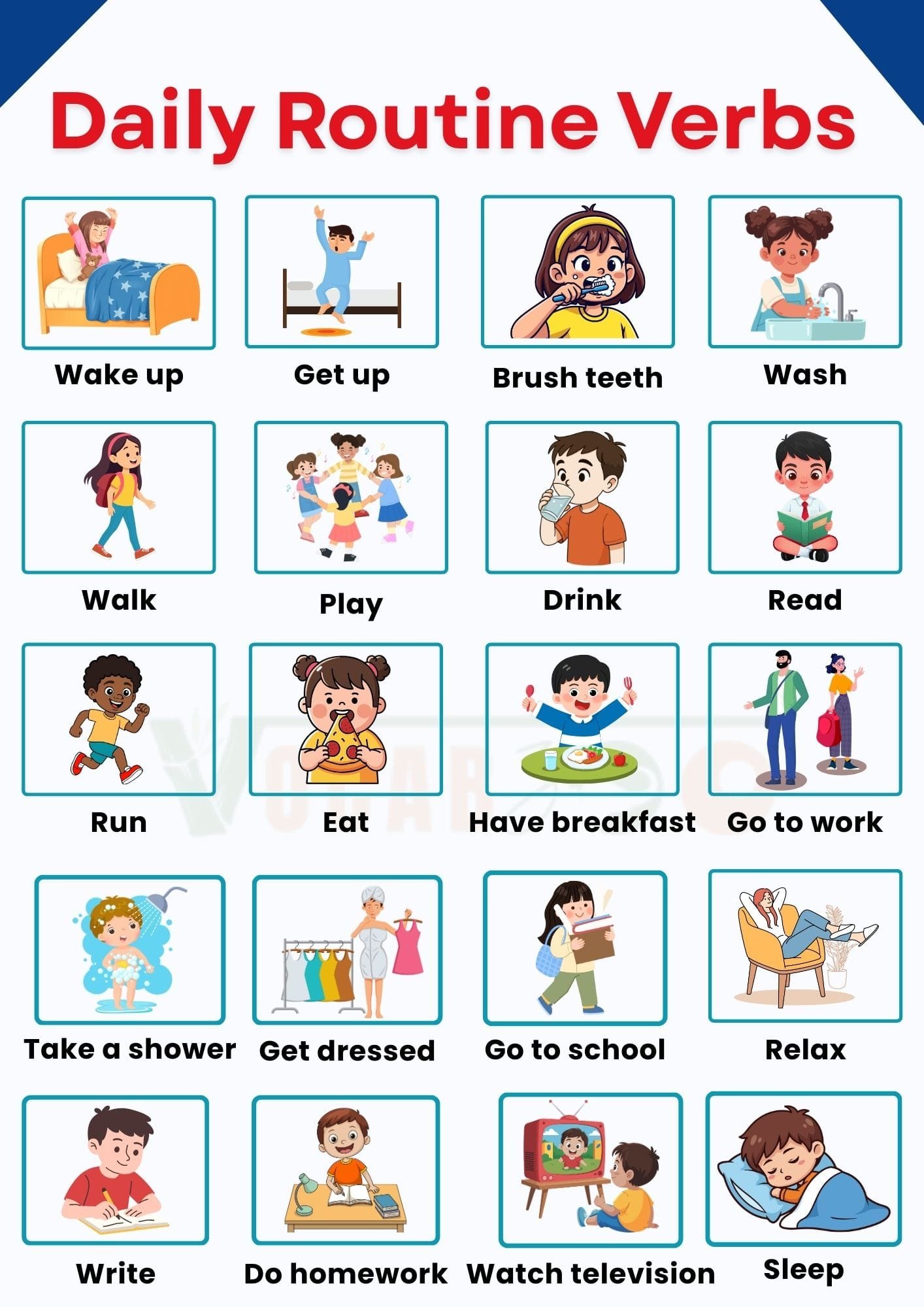 Daily Routine Verbs in English with Pictures