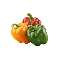 Bell pepper
