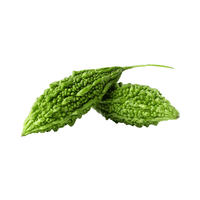 Bitter gourd | Vegetables Names for Kids in English