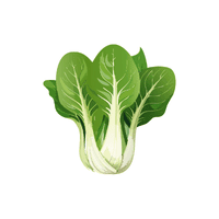 Bok choy | Vegetables Names for Kids in English