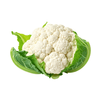 Cauliflower
