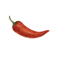Chili pepper