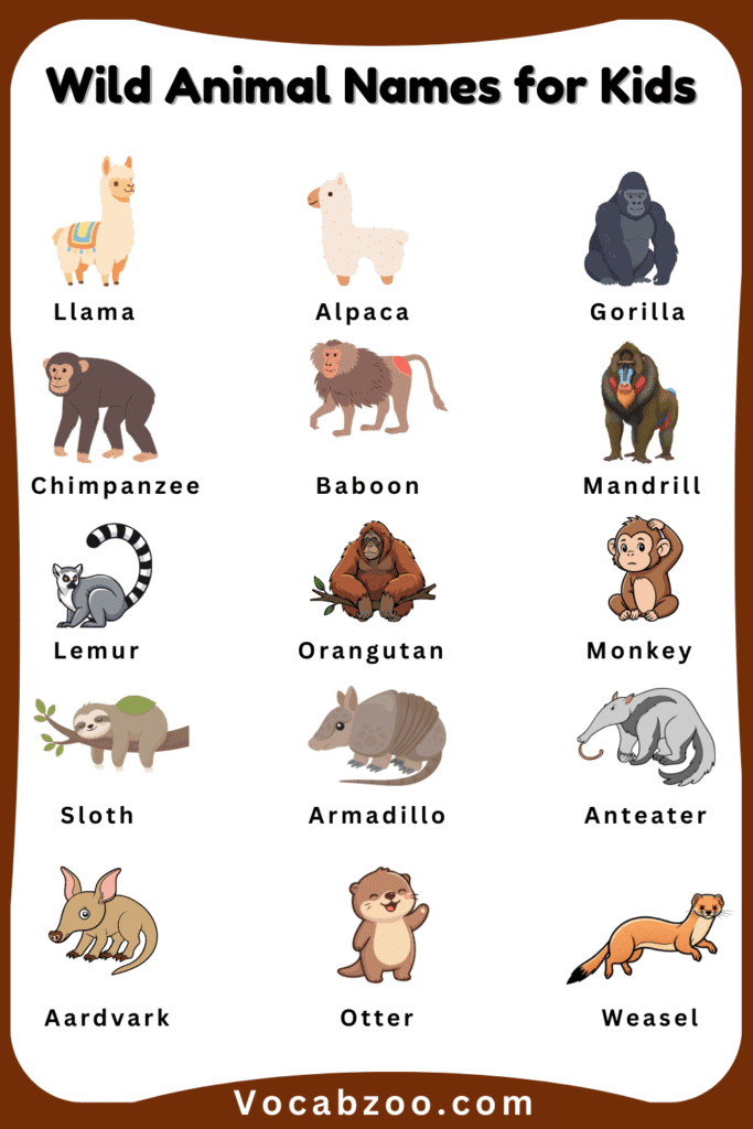 Wild Animal Names for Kids in English with Pictures - Vocabzoo