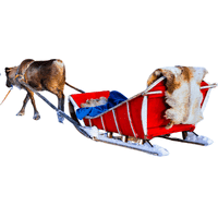 Dogsled
