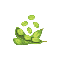 Edamame | Vegetables Names for Kids in English