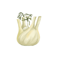 Fennel | Vegetables Names for Kids in English