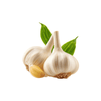 Garlic | Vegetables Names for Kids in English