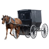 Horse Carriage