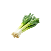 Leek | Vegetables Names for Kids in English