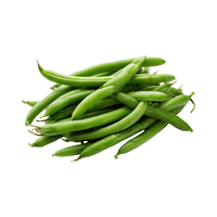 Lima beans | Vegetables Names for Kids in English