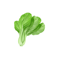 Mustard greens | Vegetables Names for Kids in English