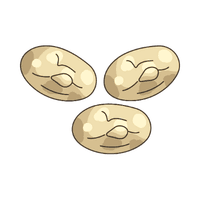 Navy beans | Vegetables Names for Kids in English