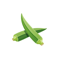 Okra | Vegetables Names for Kids in English