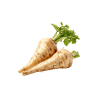 Parsnip | Vegetables Names for Kids in English