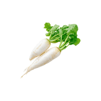 Radish | Vegetables Names for Kids in English