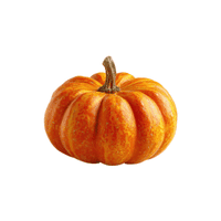 Ridge gourd | Vegetables Names for Kids in English